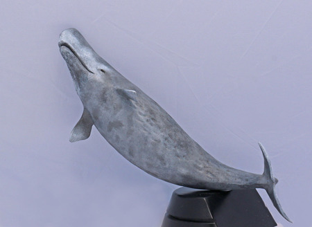 sperm whale.jpg